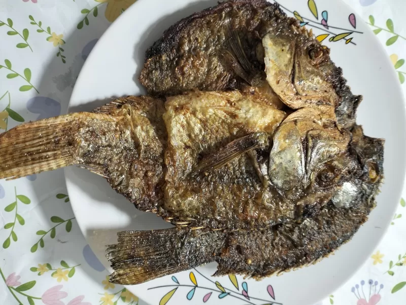 Ikan Mujair belah punggung goreng